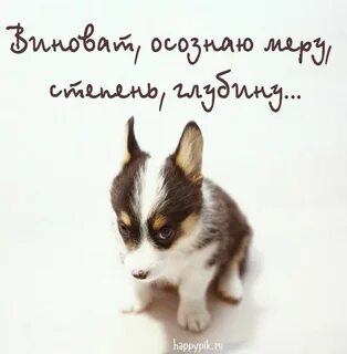Вибач мене
