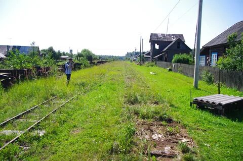 Погода молоково тверская область
