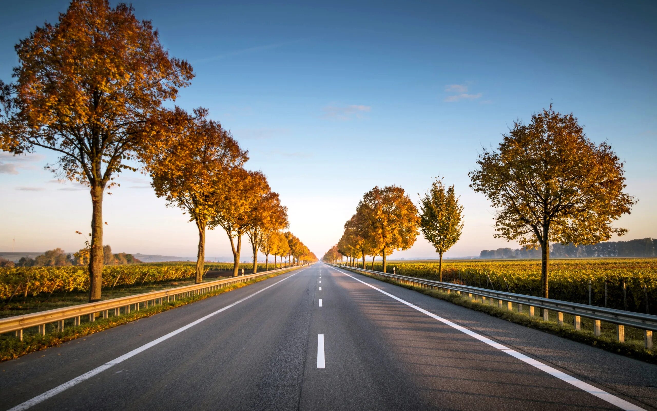Красивая дорога. Хайвей сша. Красивая дорога. Flat roads. Красивая дорога.