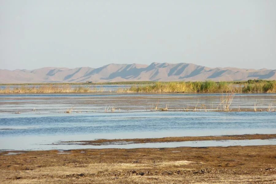 Айдаркуль узбекистан. Айдаркуль узбекистан. Озеро айдаркуль пляж. Оз айдаркуль узбекистан. Озеро айдаркуль.