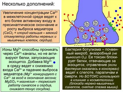 Выход медиатора
