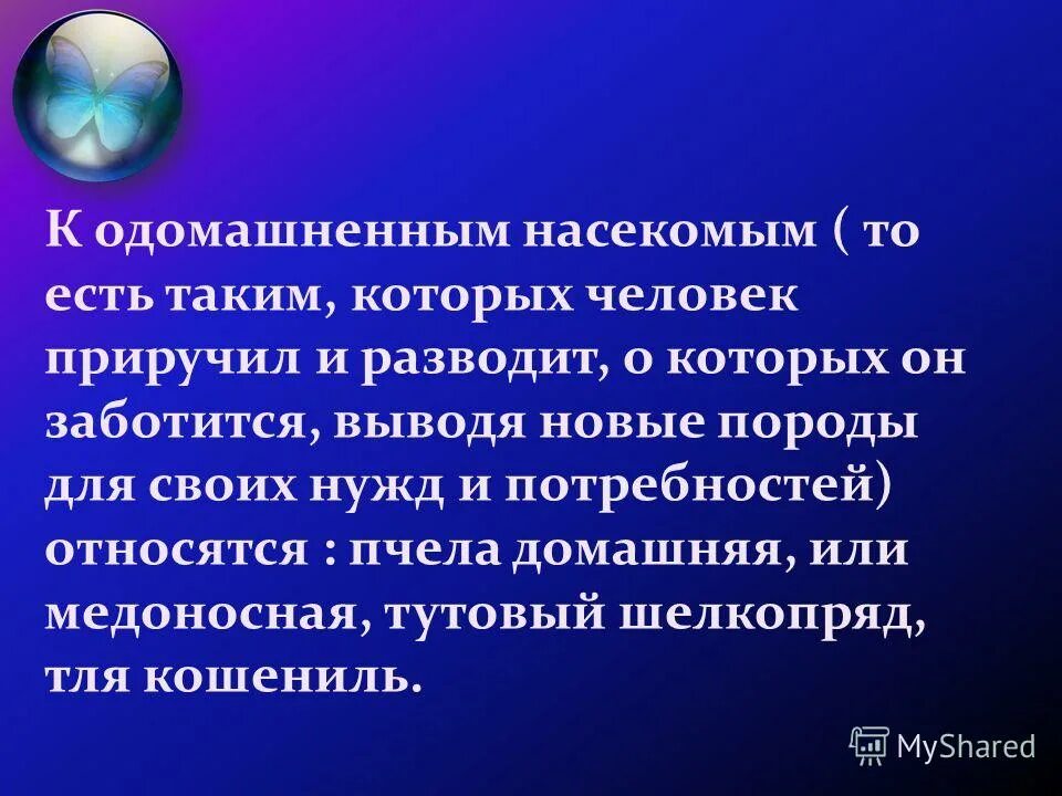 роль одомашненных насекомых в жизни человека презентация. презентация проекта о роли одомашненных насекомых в жизни человека. расскажите это пчелам. матка пчелы откладывает яйца. значение насекомых.