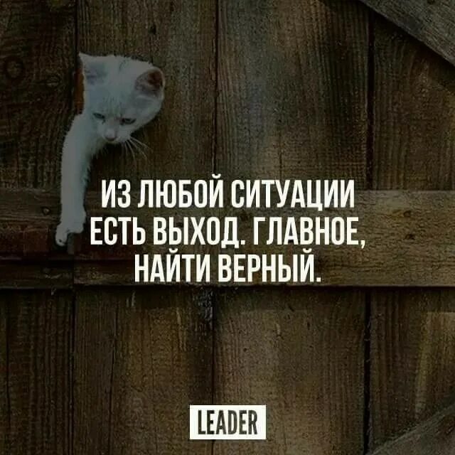 Надо в любой ситуации. Из любой ситуации есть выход цитаты. Выход из ситуации всегда есть. Нахожу выход из любой ситуации. Цитата про выход из ситуации.