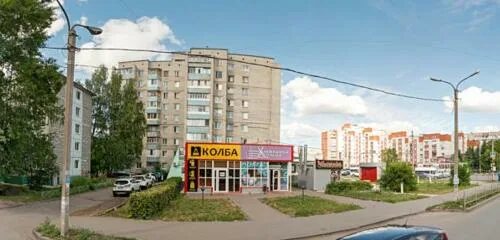 Домашний доктор тольятти. Алешино ульяновск мясной центр новый город. Ул рябикова 42 ульяновск. Рябикова 42 ульяновск. Рябикова 96 ульяновск панорама.