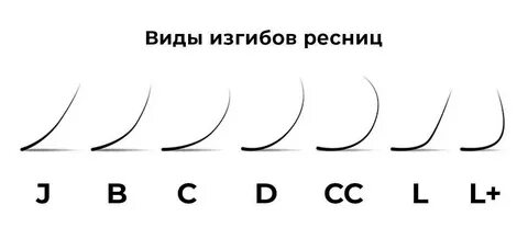 Ее изгибы как