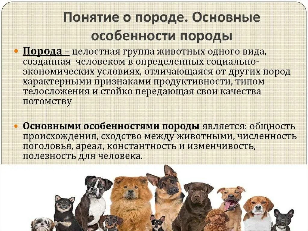 Исходя из фрагмента описания породы определите