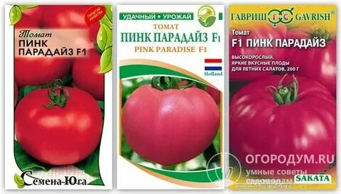 Сорт томатов пинк парадайз отзывы