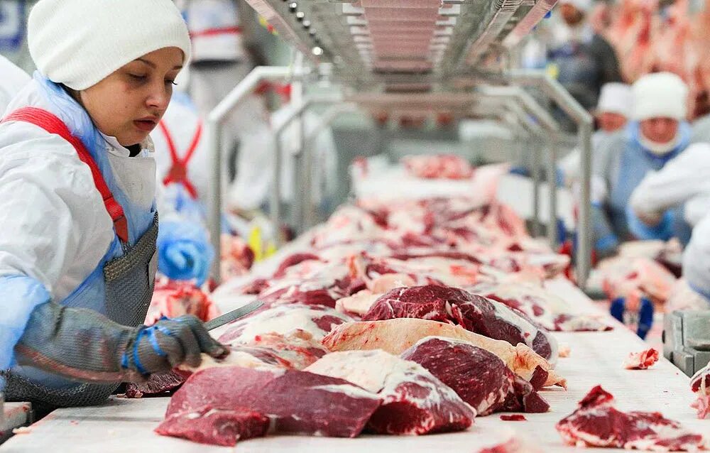 Мясо крупного рогатого скота. Свежее мясо. Мясо российского производства. Мясные фирмы хорошие. Рынок мясной продукции.
