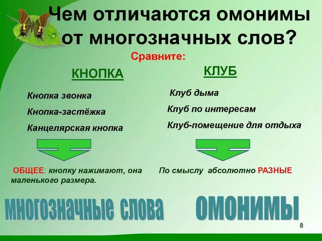Объясни значение омонимов