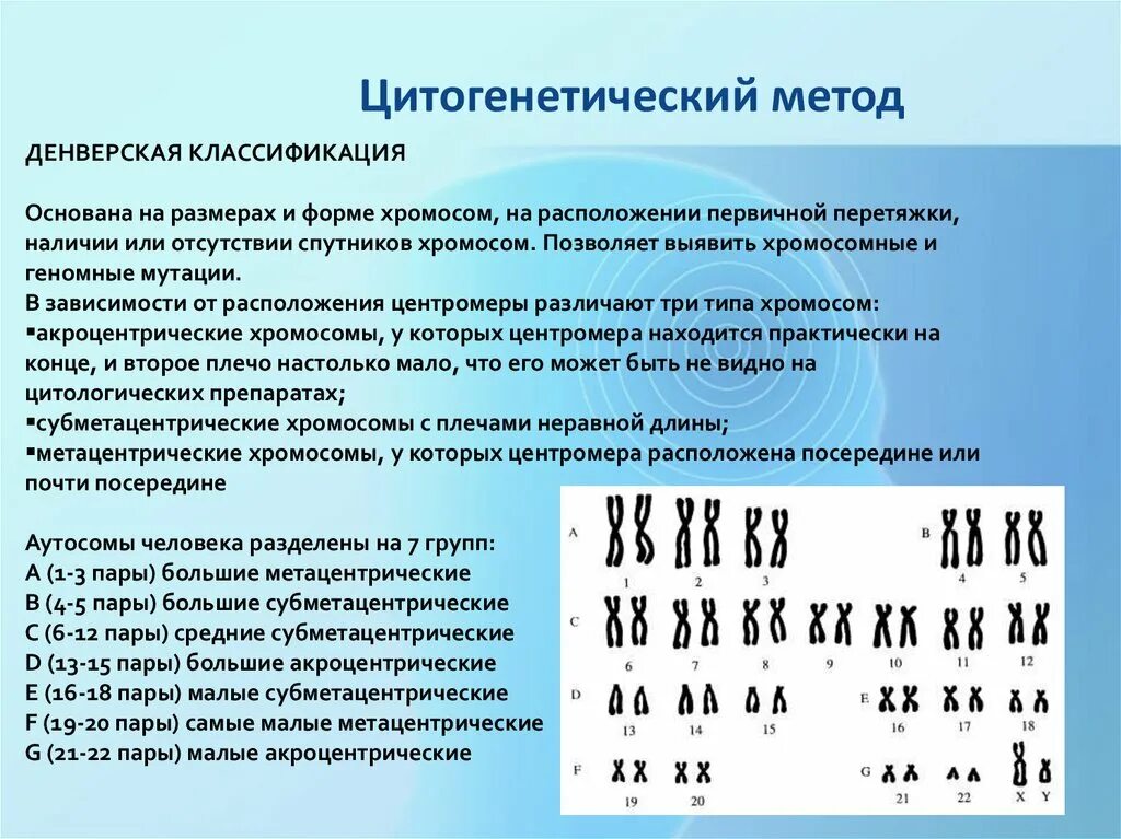 Методы исследования мутаций. Цитогенетический метод изучения кариотипа человека. Методы исследования генетики человека цитогенетический. Цитогенетический метод классификация хромосом человека. Цитогенический методизучения кареотипа человека