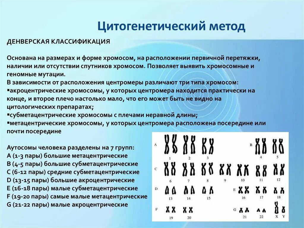 Кариотип человека определяют. Цитогенетический метод изучения кариотипа человека. Цитогенетический метод классификация хромосом человека. Цитогенический методизучения кареотипа человека. Цітогенетіческій метод.