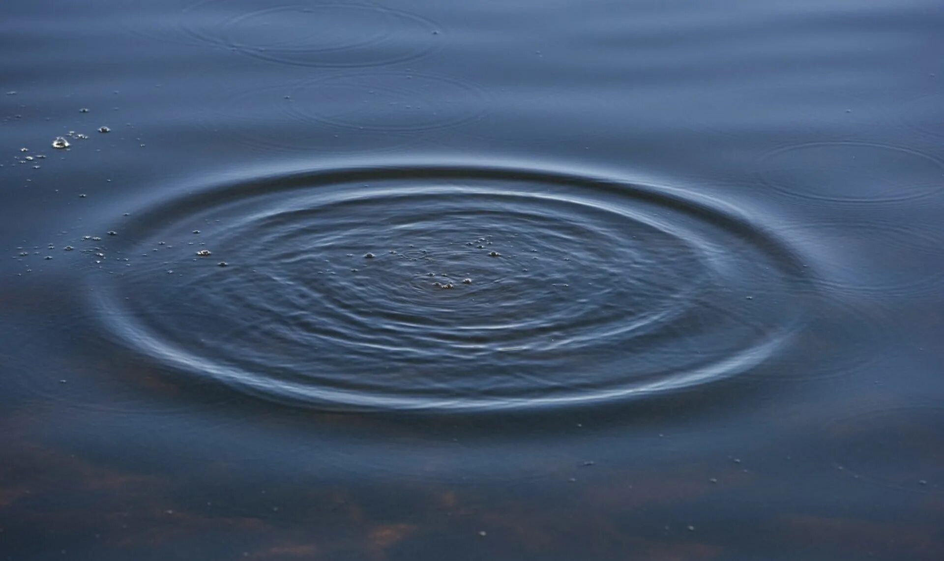 Круги на воде. КГИ вода. Разводы круги на воде. Концентрические круги на воде. Алюминий утонет в воде