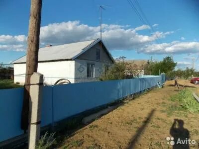 Погода в петрунино камышинский