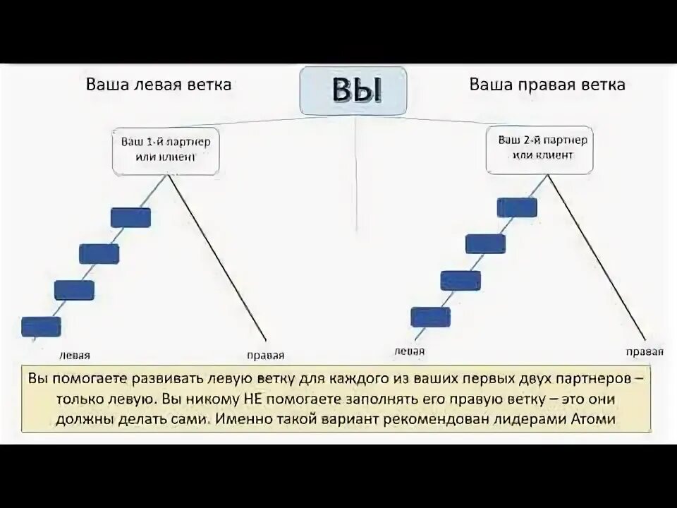 Их состава и вашего