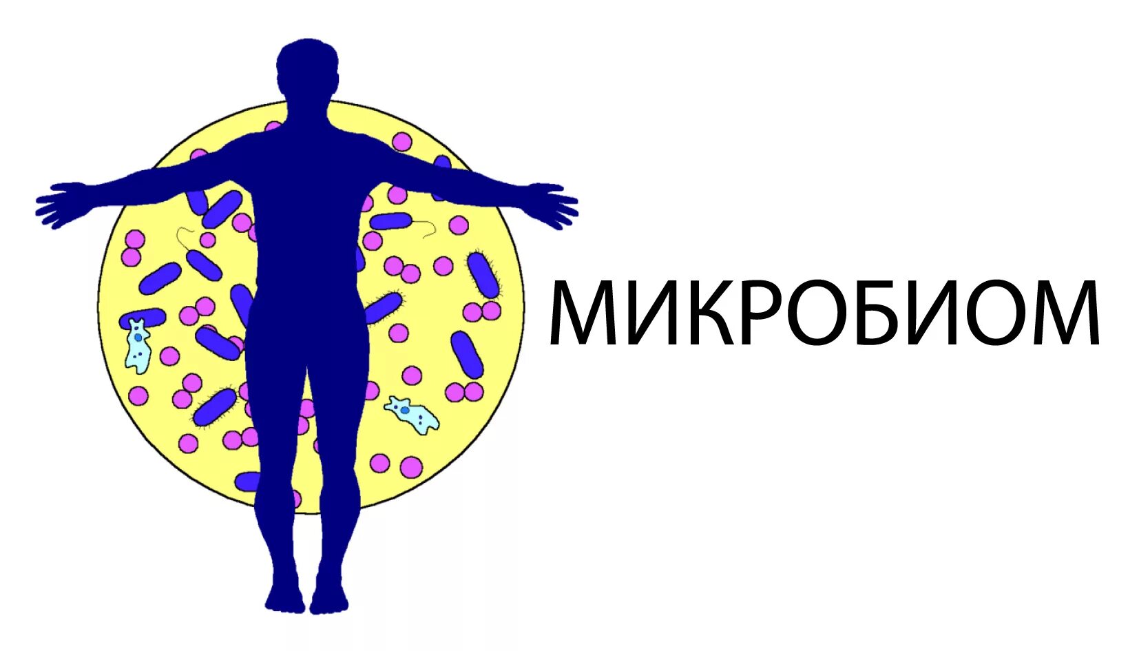 Микро био. Микробиом. микробиом организма человека. микрофлора человека. микробиома человека это.