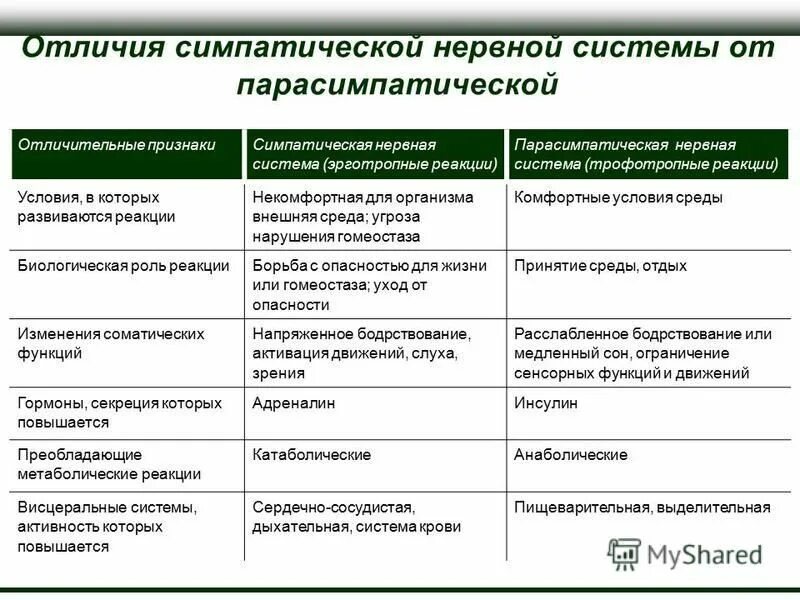 Отличие сво от кто. Общая характеристика парасимпатической нервной системы. Парасимпатическая система и симпатическая система. Характеристика симпатической вегетативной нервной системы таблица. Таблица отличий симпатической и парасимпатической нервной.