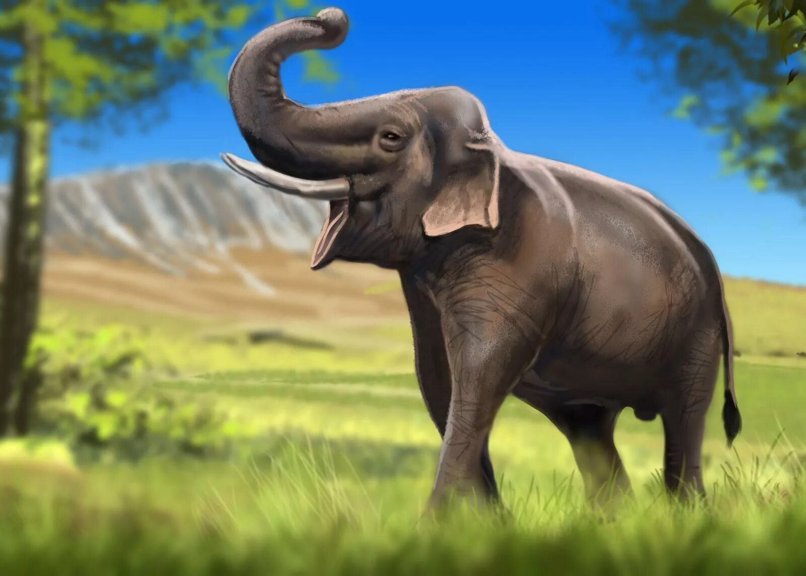 Индийский слон обои. Elephas Maximus. Elephas Maximus indicus.