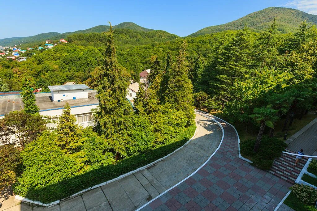 санаторий тихий дон лазаревское. бассейн оазис асака. пансионат тихий дон в лазаревском. тихий дон сочи санаторий. тихий дон сочи санаторий.