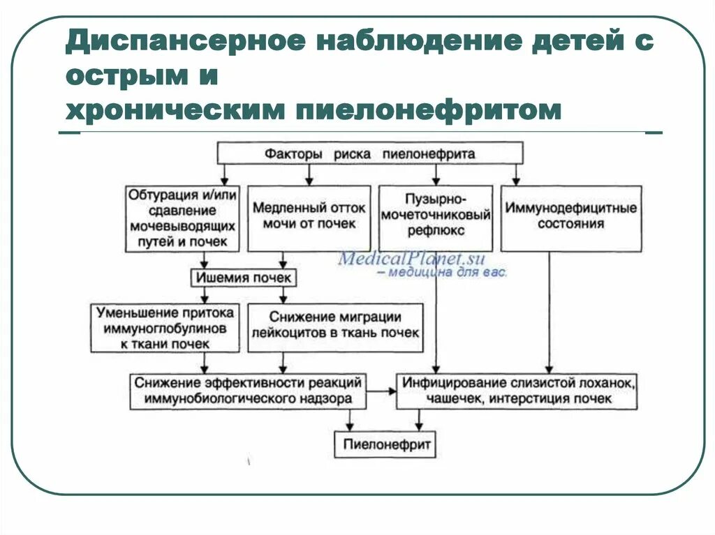 Острый пиелонефрит диспансерное. Наблюдение после острого пиелонефрита. Острый пиелонефрит у детей диспансерное наблюдение. Пиелонефрит у детей диспансерное наблюдение. Диспансерное наблюдение больных с хроническим пиелонефритом.