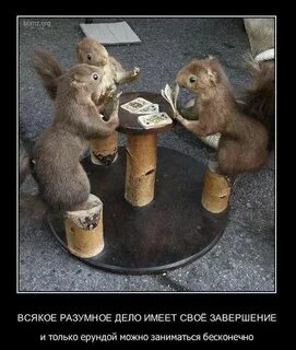 Всякий пустяк