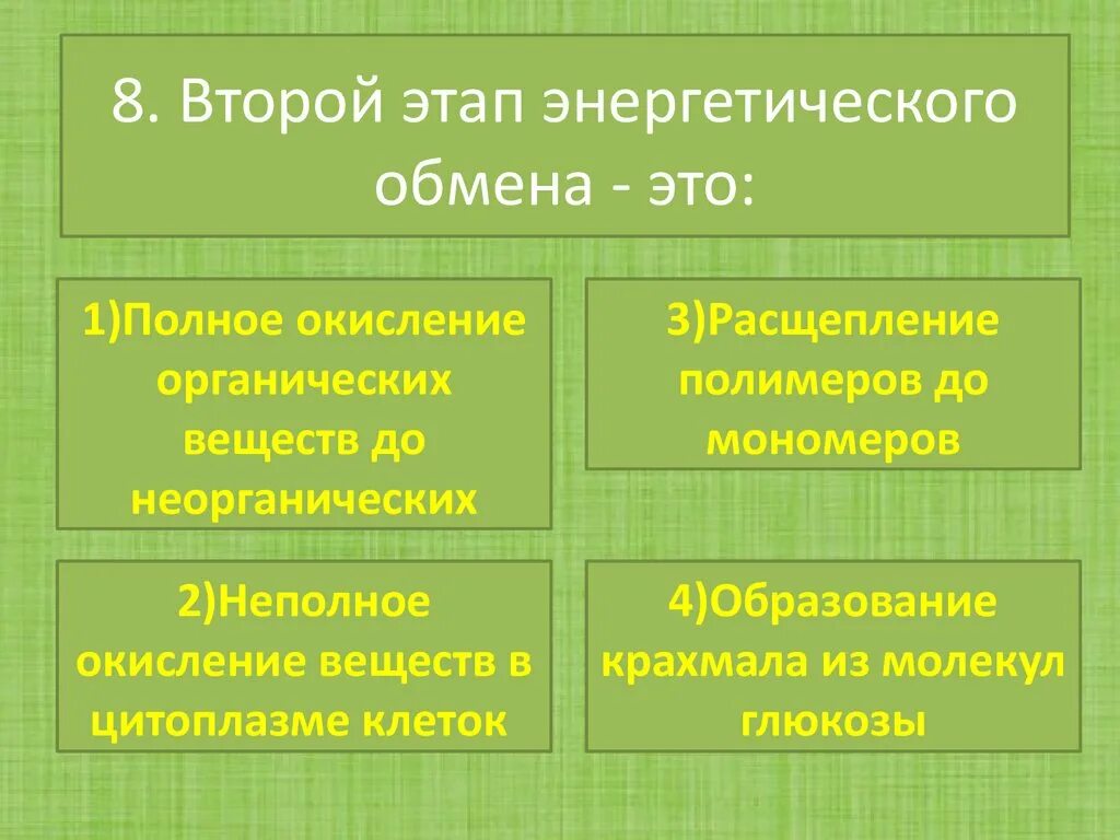 2 Этап энергетического обмена. 2 ЭТАПР эергитеческогг обмк5а. Этапы энергетического обмена в клетке
