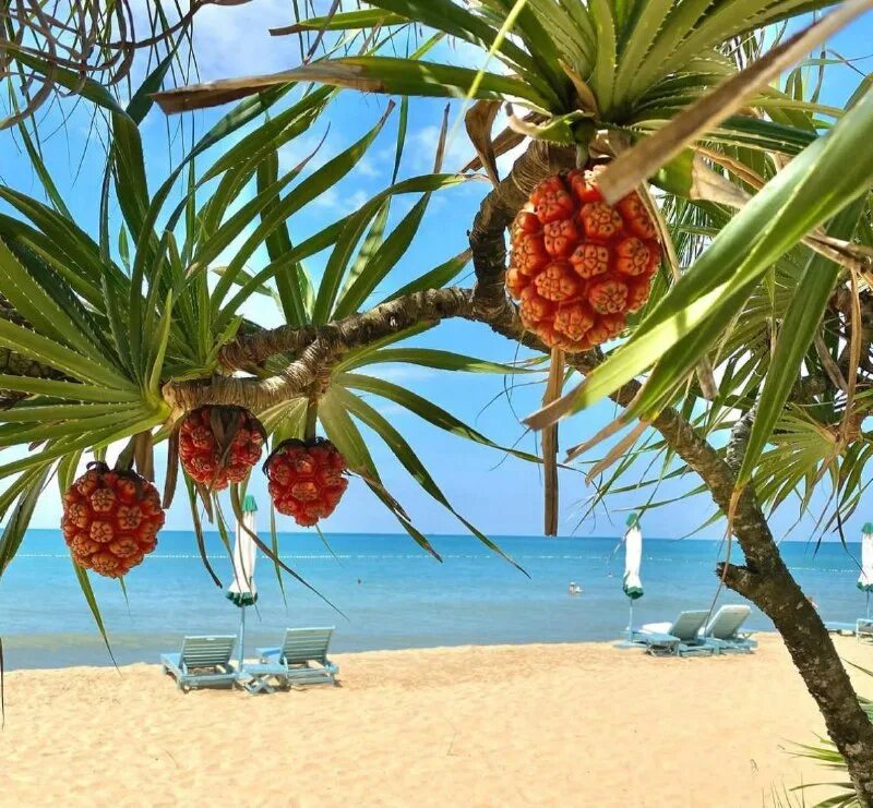 туры из новосибирска 2024 лето