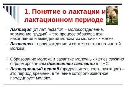 Лактационный период это