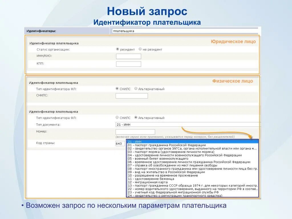 Идентификатор гражданина что это. Идентификатор запроса. Альтернативный идентификатор плательщика. Идентификатор физического лица. Что такое идентификатор ответчика.