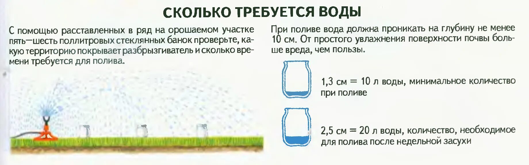 Норма полива газона на 1 м2. Норма воды для полива газона. Сколько нужно воды для полива. Полив газона норма воды.