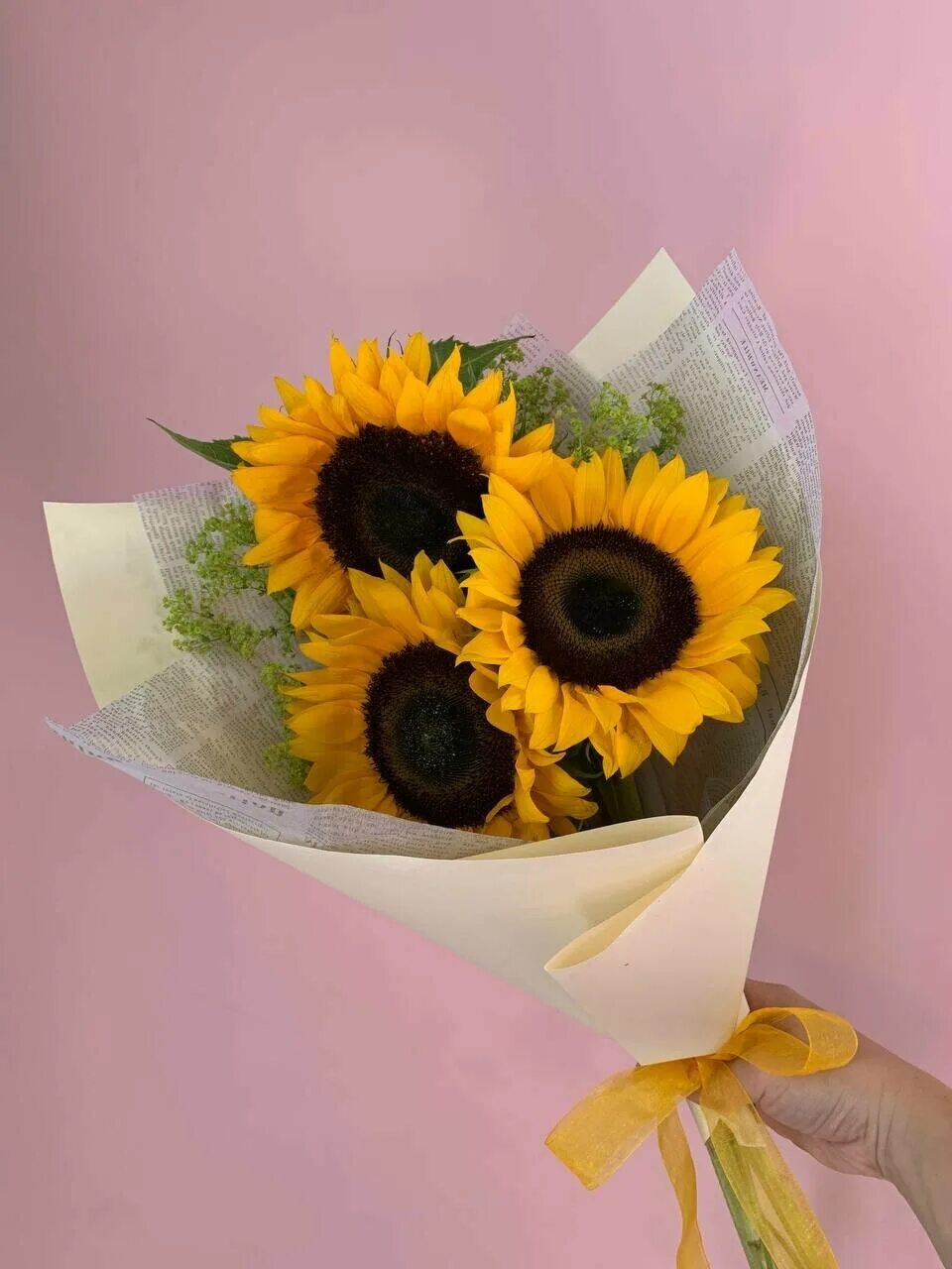 Поля подсолнухов румыния. Подсолнух продукты. Подсолнечник орешек 50шт/10. Подсолнечник битюг 10 г. Натюрморт.