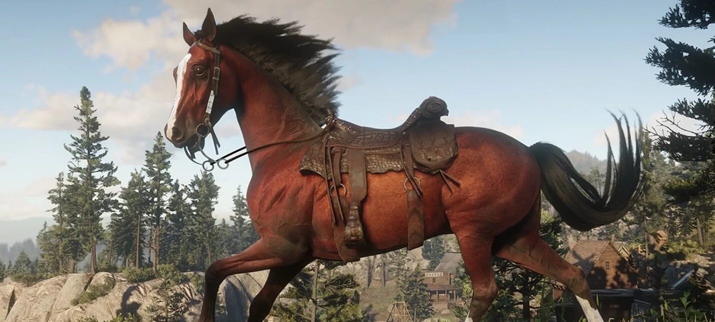 Рдр 2 временная лошадь. Red dead redemption 2 кони. red dead redemption 2 арабская лошадь. red dead redemption 2 чистокровная лошадь. лошади в ред деад редемптион 2.
