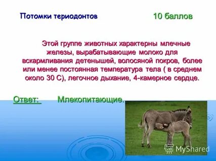 Для животных характерны