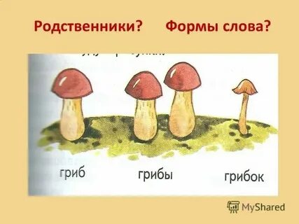 Глагол от слова гриб образовать