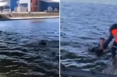 Я бы прыгнула в эту реку если