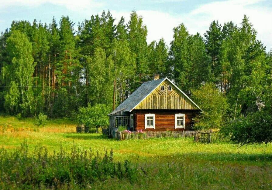 Деревенский домик. Домик в лесу. Деревня в лесу. Домик на опушке леса.