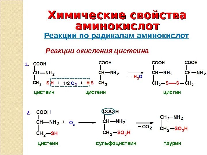 Аминокислоты химические соединения. Уравнение реакции окисления цистеина. Химические реакции аминокислот. Уравнение реакции аминокислот. Химические свойства аминокислот кислотные.