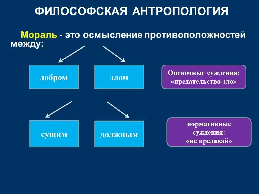 Философская антропология. Антропология это в философии. Философская антропология в философии это. Основная идея философской антропологии.