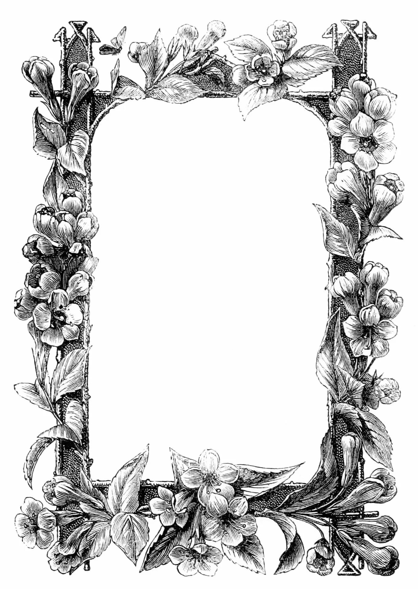 Рамка эскиз. Красивая винтажная рамка. графические рамки. графические рамки для текста. красивые винтажные рамки.