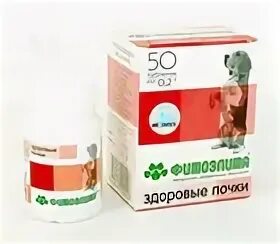 Здоровые почки коту