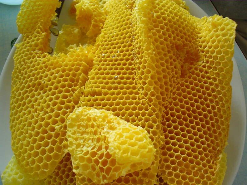 Пчелиный воск. Мёд в сотах. Восковые соты для пчел. Вощина с медом.