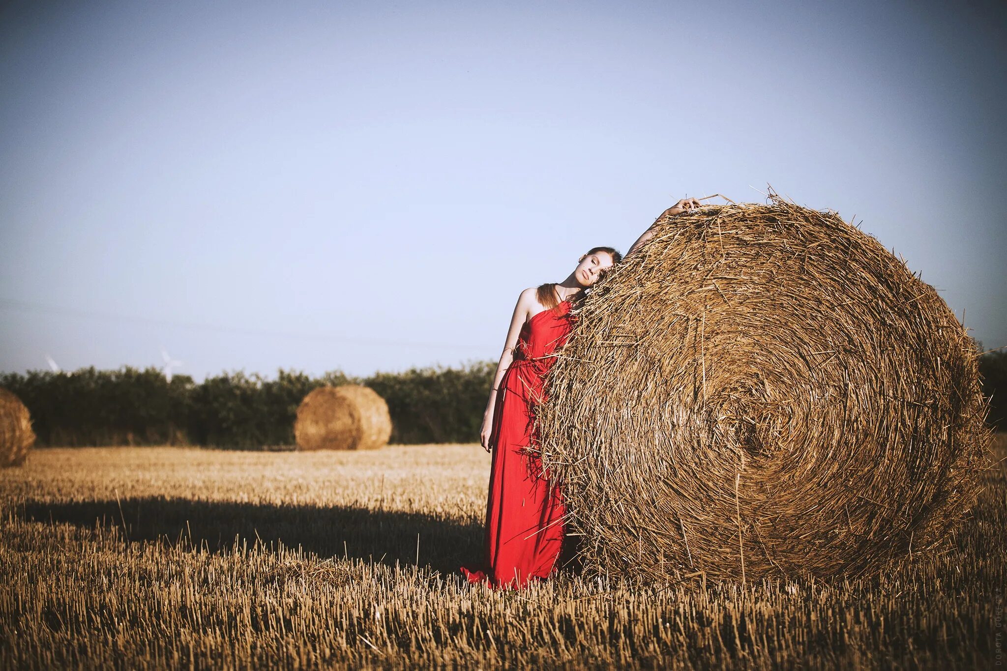 Фотосессия с тюками сена. Фотосессия с сеном в рулонах. Фотосессия в поле с рулонами. Фотосессия с рулонами сена в поле.