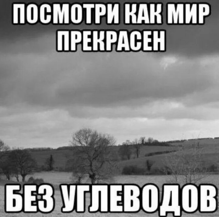 Мир плох без. Мир без углеводов. Как прекрасен мир без углеводов. Посмотри как прекрасен мир. Жизнь без углеводов.