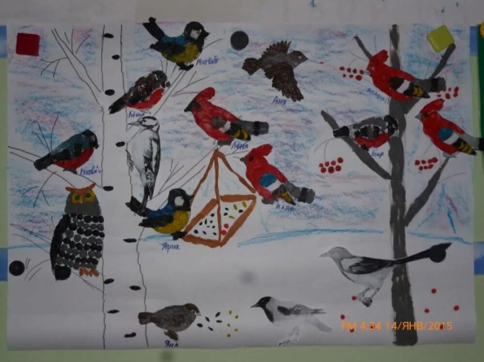 Коллективная работа день птиц. Рисование зимующие птицы старшая группа. Рисование в средней группе на тему зимующие птицы. Зимующие птицы первая младшая группа. Рисование зимующие птицы средняя группа.