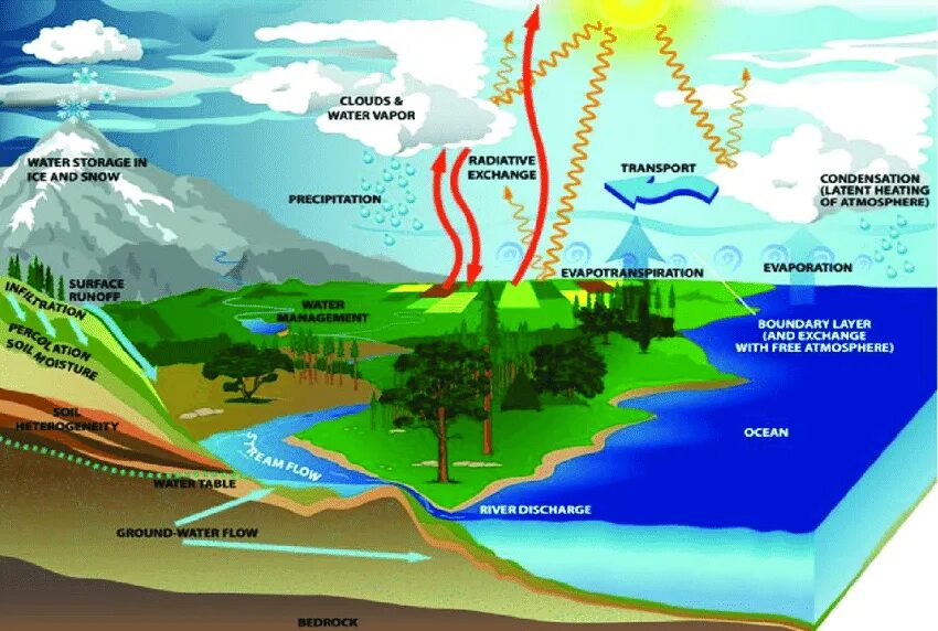 Water Cycles. Hydrological. Круговорот воды в природе физика 8 класс. Hidrosfer. Вода уровень организации