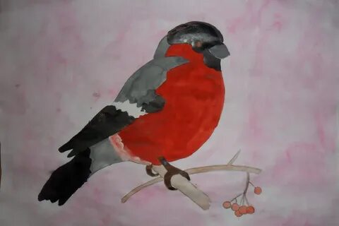 Покажи как нарисовать снегиря