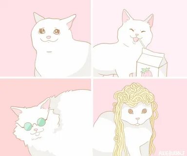 Коты мем бумаги