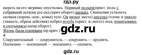 Русский язык разумовская 7 класс 2021 год. Русский язык разумовская 7 класс 2021 год. (умк разумовской м. Пособие по русскому языку 7 класс. Русский язык разумовская 7 класс 2021 год.