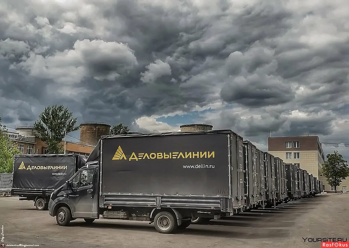 Фура деловые линии. Водитель погрузчика деловые линии. Машинист вилочного погрузчика. Деловые линии вакансии водителя. Машина газель некст деловые линии.