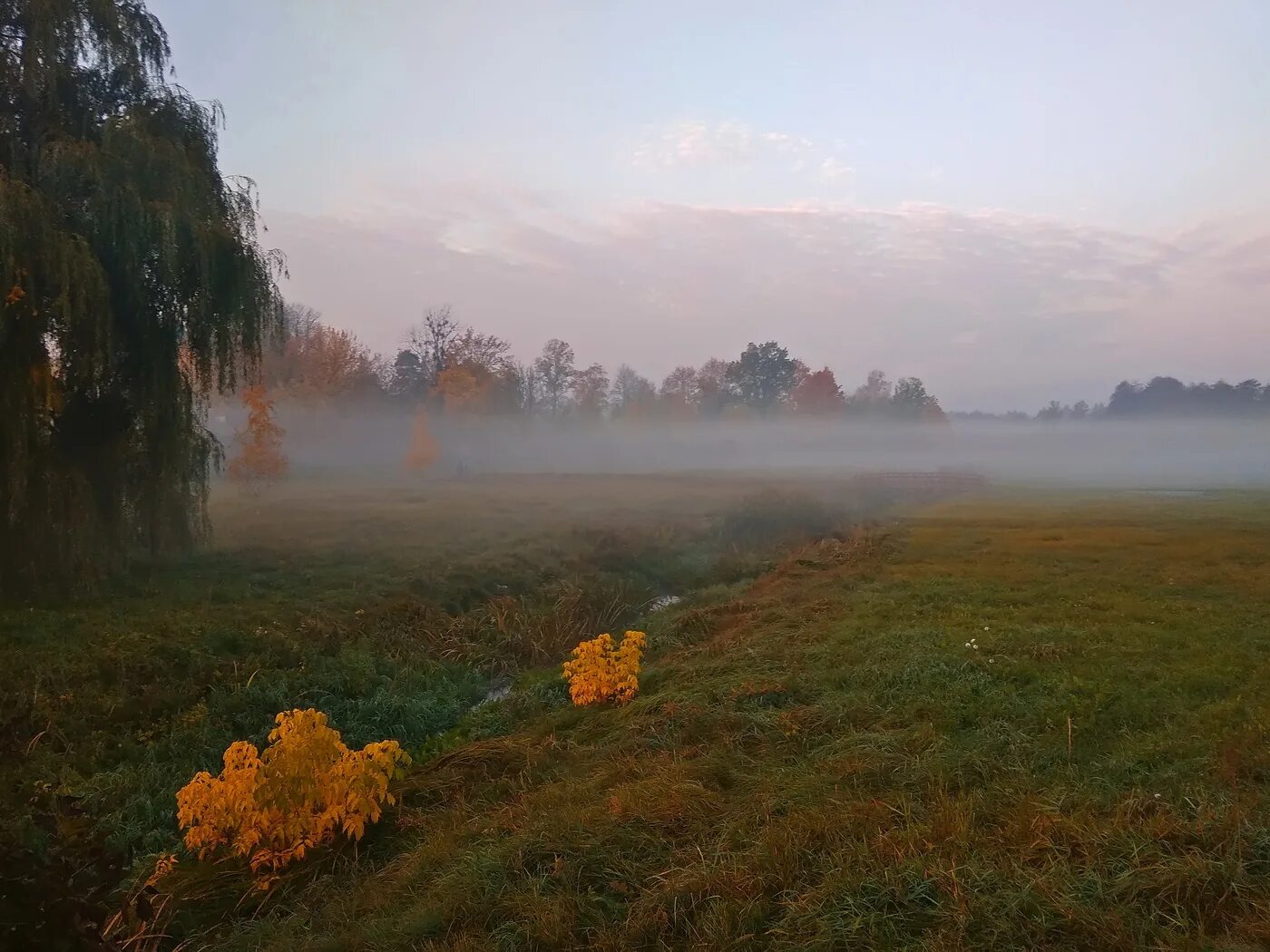 Тишина картинки. Утренняя тишина. Осеннее утро на реке. Предрассветная тишина. Над тишиной.