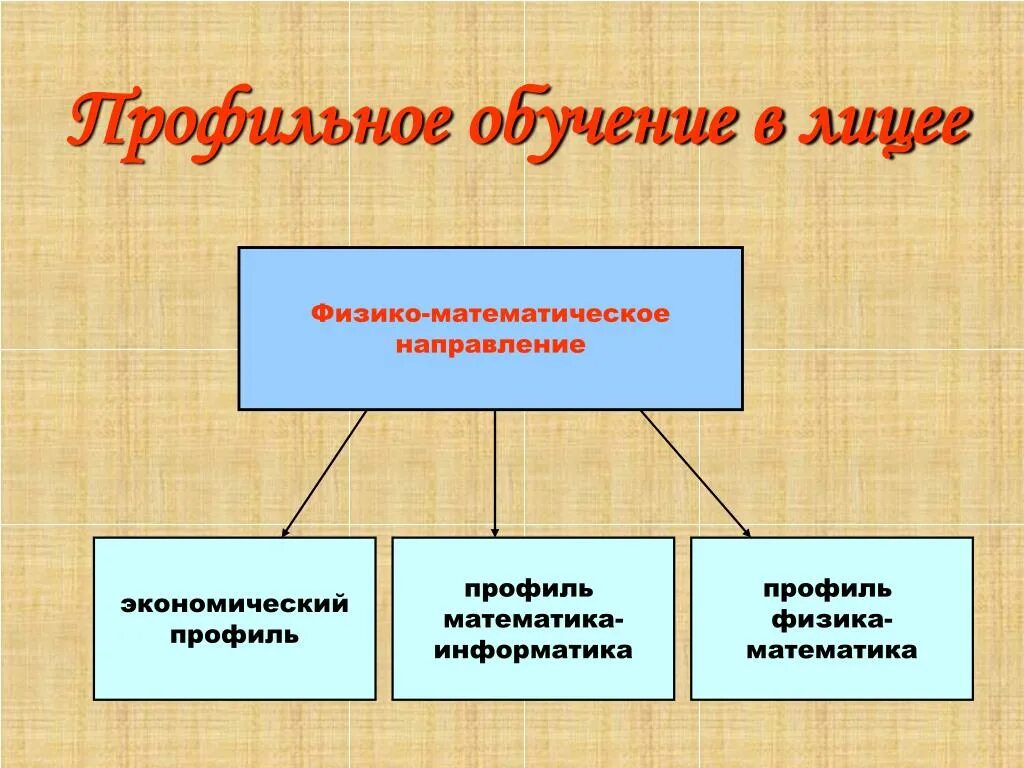 Физико-математическое направление. Направление профильного обучения в математике.. Направления в физико-математике. Направления в лицее. Направления математики в школе